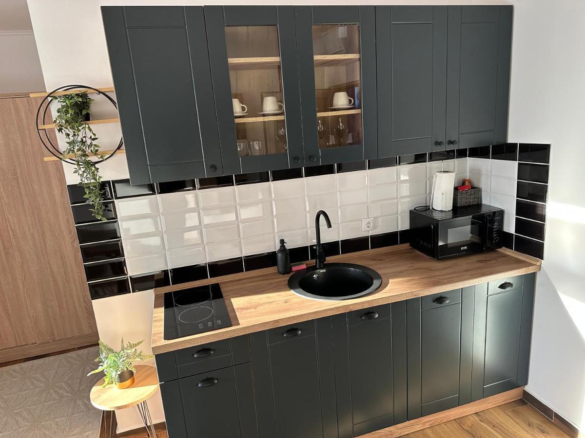 Sky Lux Apartmani Surčin エクステリア 写真